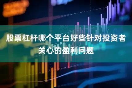 股票杠杆哪个平台好些针对投资者关心的盈利问题