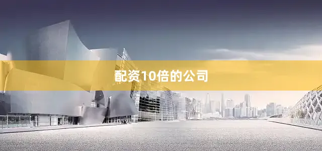 配资10倍的公司
