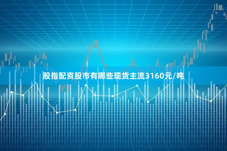 股指配资股市有哪些现货主流3160元/吨