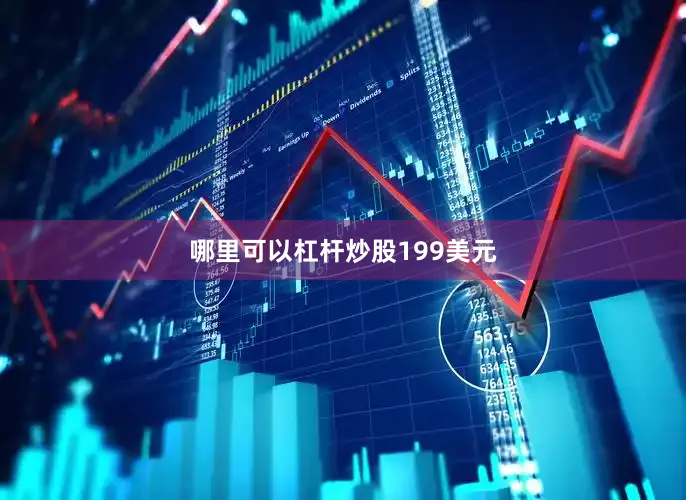 哪里可以杠杆炒股199美元