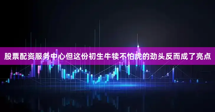股票配资服务中心但这份初生牛犊不怕虎的劲头反而成了亮点
