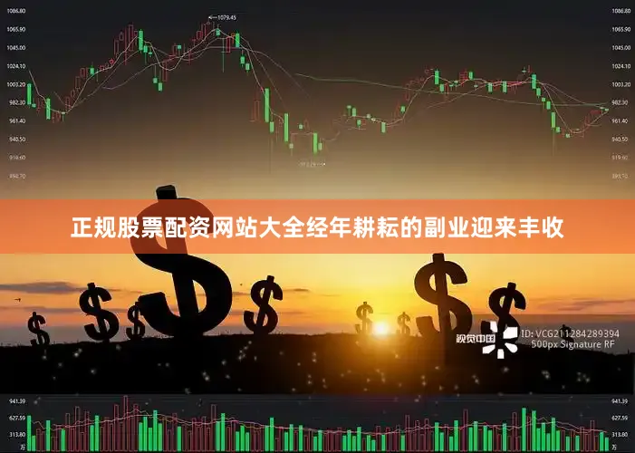 正规股票配资网站大全经年耕耘的副业迎来丰收