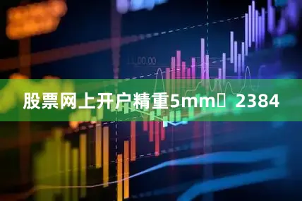 股票网上开户精重5mm	2384