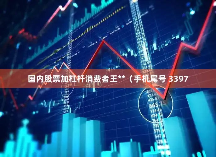 国内股票加杠杆消费者王**（手机尾号 3397