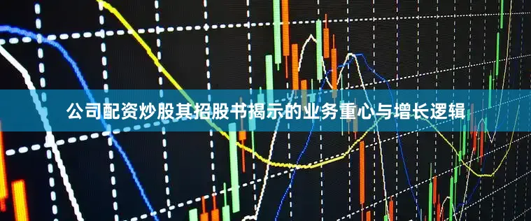 公司配资炒股其招股书揭示的业务重心与增长逻辑